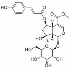  6-O-trans-p-Coumaroylshanzhiside