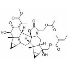 Chlorahololide D