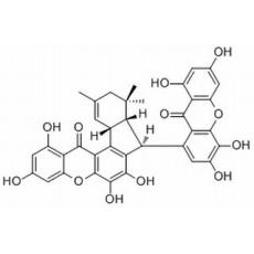 Griffipavixanthone