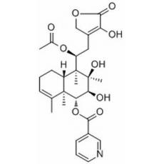 Scutebata C