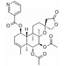  Scutebata F