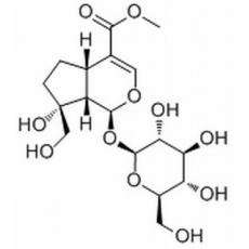 Splendoside