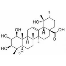 1,2,3,19-Tetrahydroxy-12-ursen-2