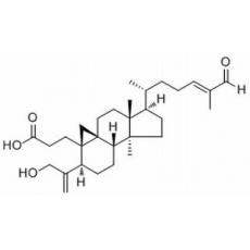  Coronalolic acid