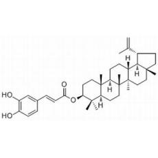 咖啡酸羽扇豆醇