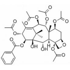 14β-Benzoyloxy-2-deacetylbaccati