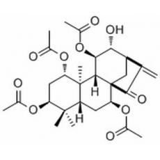 蒼山香茶菜素