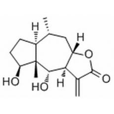 Carabrolactone B