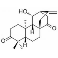 ent-11β-Hydroxyatis-16-ene-3,14-