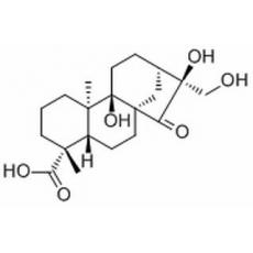  Pterisolic acid F