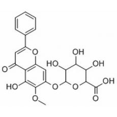 千層紙素A-7-0-β-D-葡萄糖醛酸苷