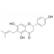 6-異戊二烯基柚皮素