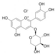 氯化矢車菊素-3-O-阿拉伯糖苷