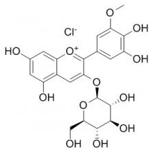 氯化矮牽牛素-3-O-葡萄糖苷