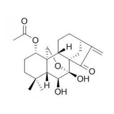 疏展香茶菜寧B