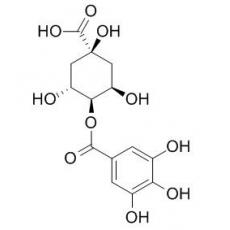 4-沒食子?；鼘幩? width=