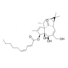 3-O-(2'E,4'Z-癸二烯?；?巨大戟二萜醇