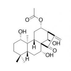 香茶菜乙素