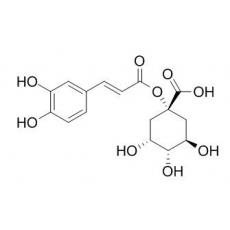 1-咖啡?？鼘幩? width=