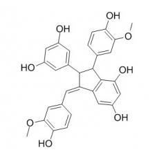 Gnetulin