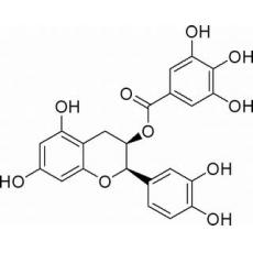  表兒茶素沒食子酸酯