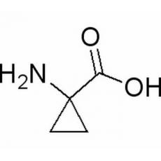 1-氨基環(huán)丙烷羧酸