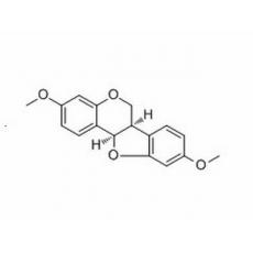 高紫檀素